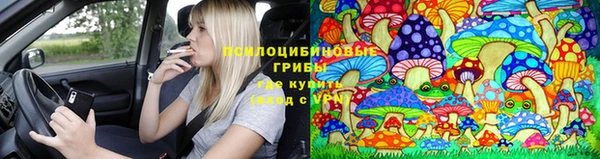 mix Вяземский