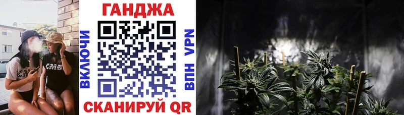 даркнет телеграм  Змеиногорск  МАРИХУАНА семена 